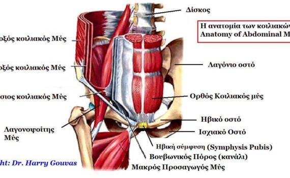Άσκηση Εκγύμναση προσαγωγών - γαστροκνημίων